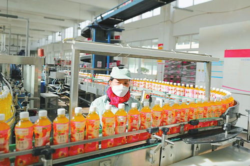 多產業協同發展 鋁產業、綠色家居與食品飲料等重點領域的建設與營商環境優化