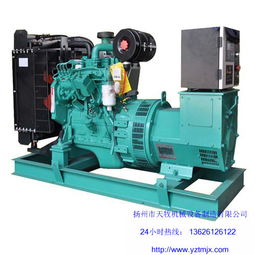 河北30kw東風(fēng)康明斯發(fā)電機(jī)組生產(chǎn)廠家，天牧更專業(yè)